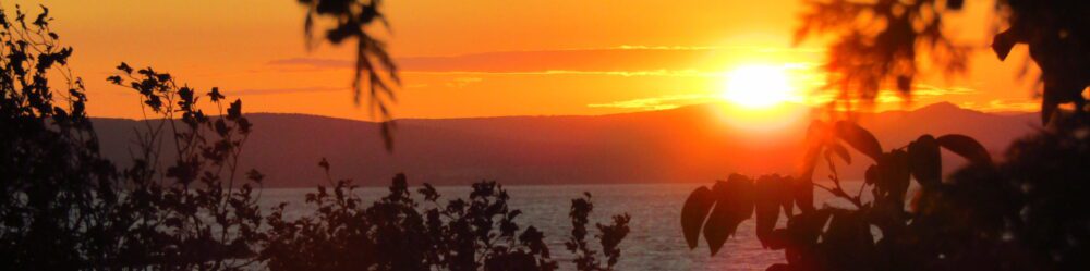 Header Image